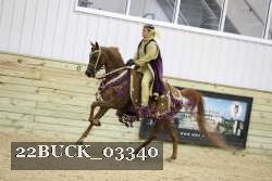 22BUCK_03340 proof