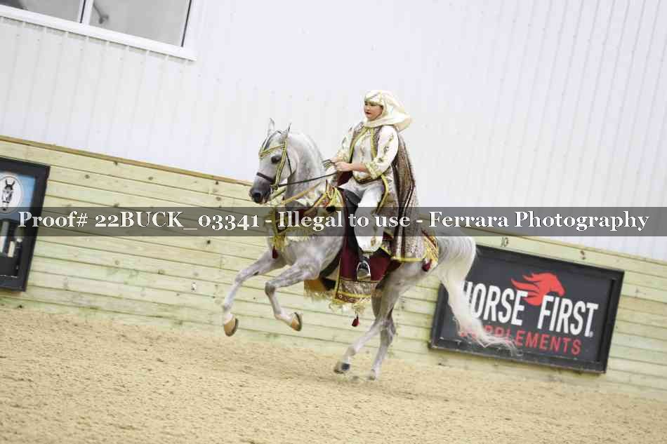 Proof 22BUCK_03341
