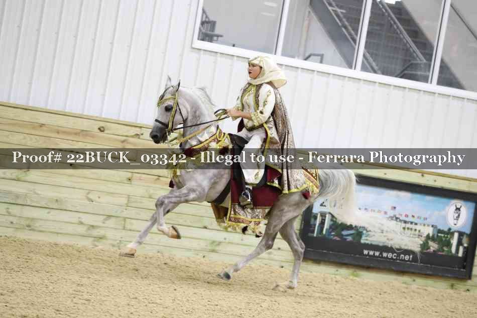 Proof 22BUCK_03342