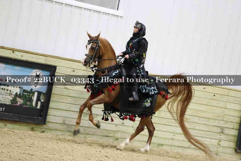 Proof 22BUCK_03343