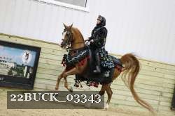 22BUCK_03343 proof