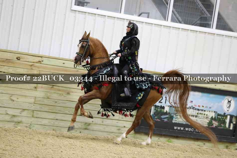 Proof 22BUCK_03344