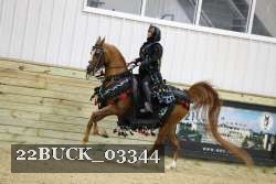 22BUCK_03344 proof
