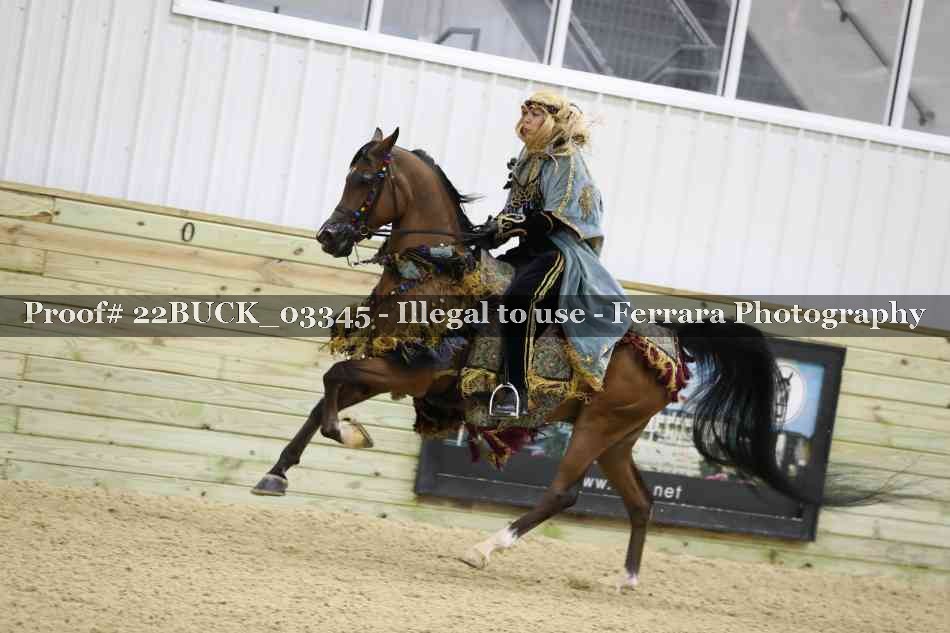 Proof 22BUCK_03345
