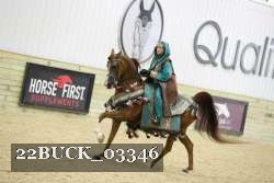 22BUCK_03346 proof