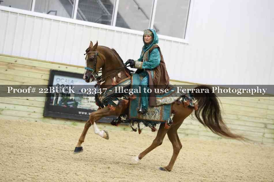 Proof 22BUCK_03347