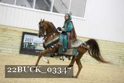 22BUCK_03347 proof