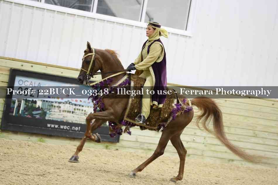 Proof 22BUCK_03348