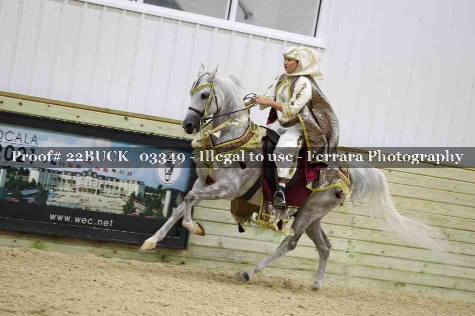 Proof 22BUCK_03349
