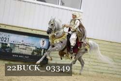 22BUCK_03349 proof
