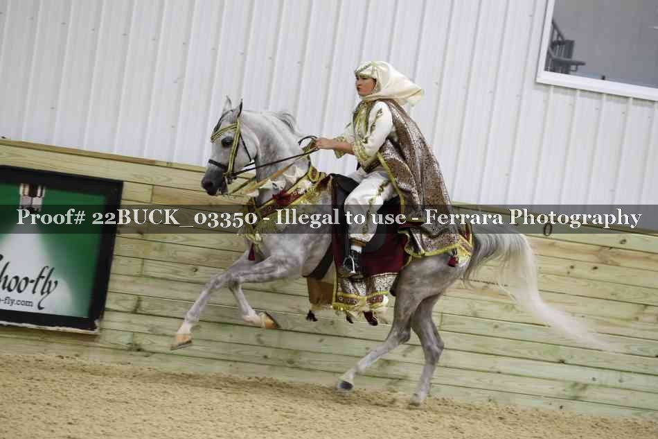 Proof 22BUCK_03350