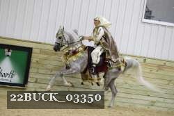 22BUCK_03350 proof
