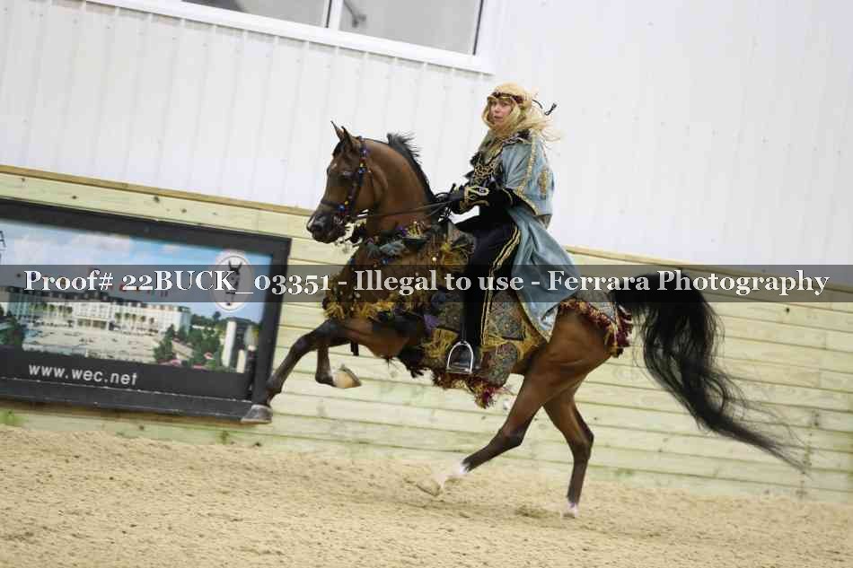 Proof 22BUCK_03351