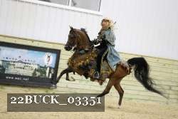 22BUCK_03351 proof