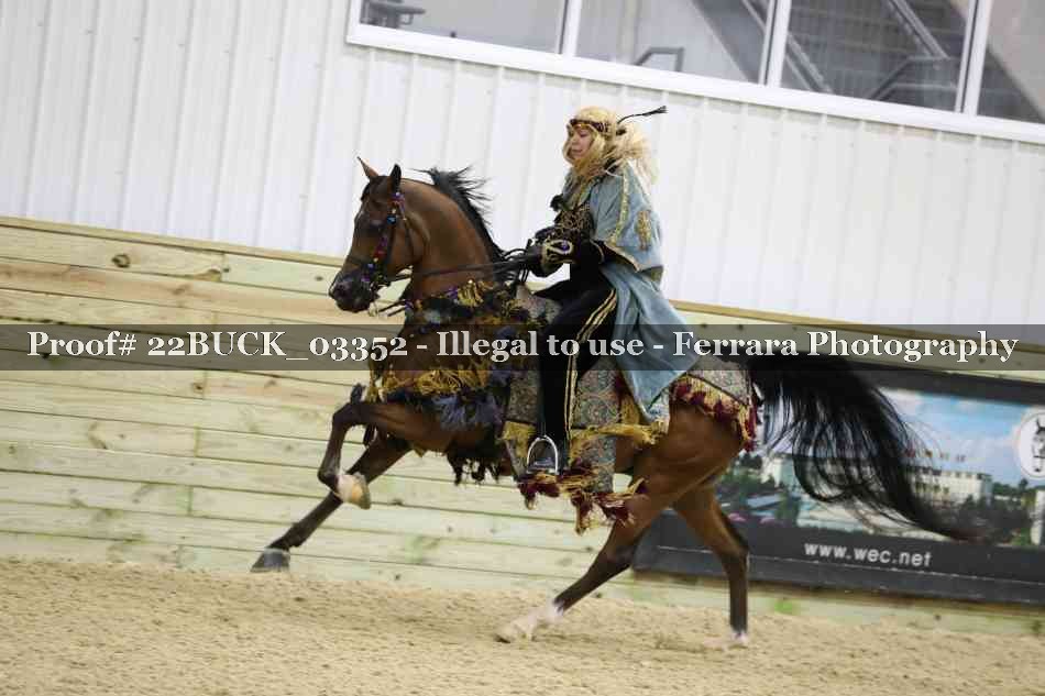 Proof 22BUCK_03352