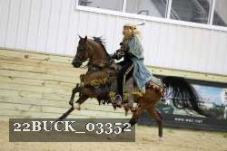 22BUCK_03352 proof