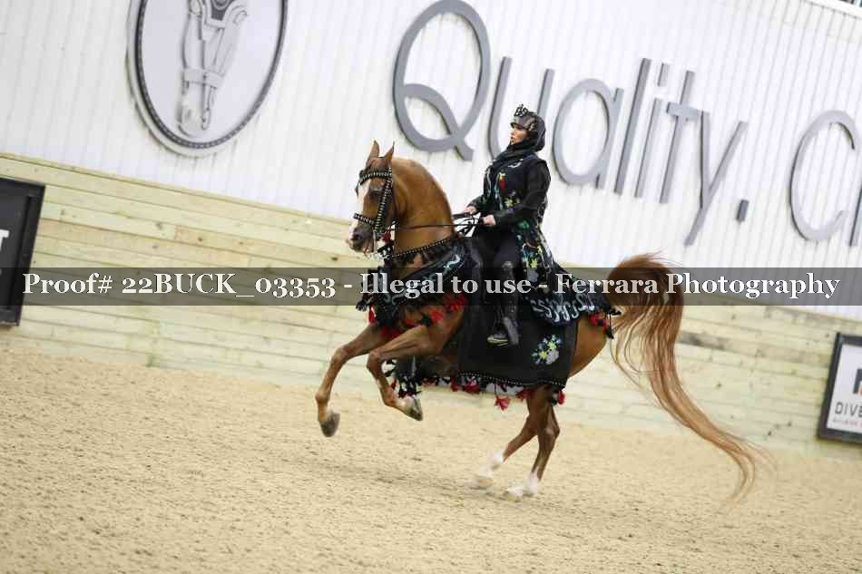 Proof 22BUCK_03353