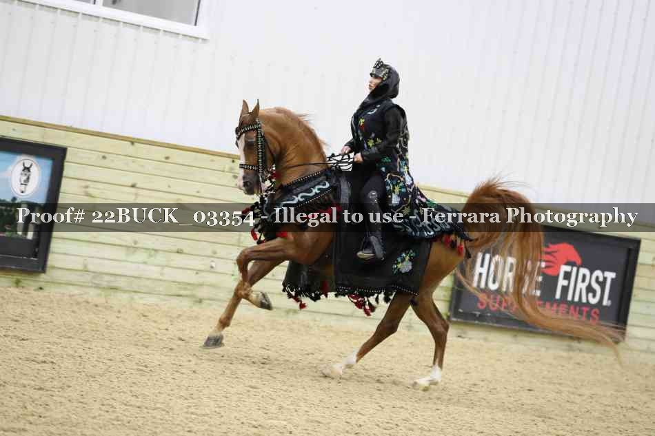 Proof 22BUCK_03354
