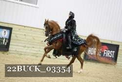 22BUCK_03354 proof