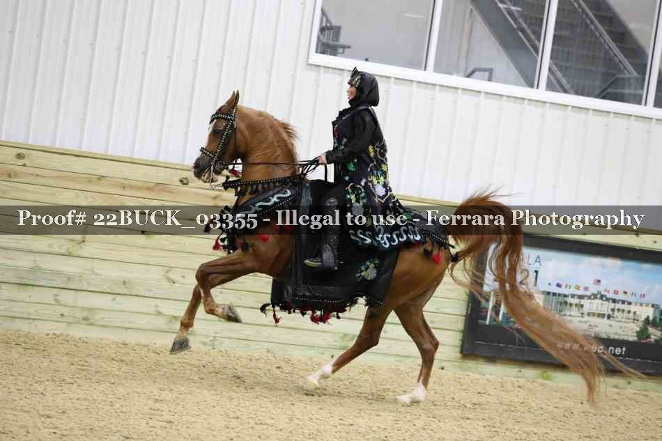 Proof 22BUCK_03355