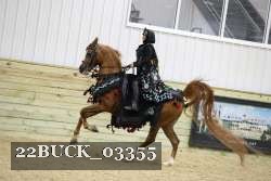 22BUCK_03355 proof