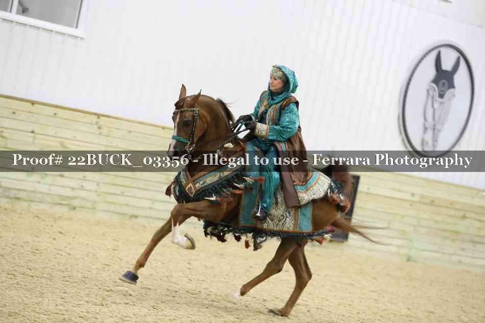 Proof 22BUCK_03356