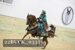 22BUCK_03356 proof