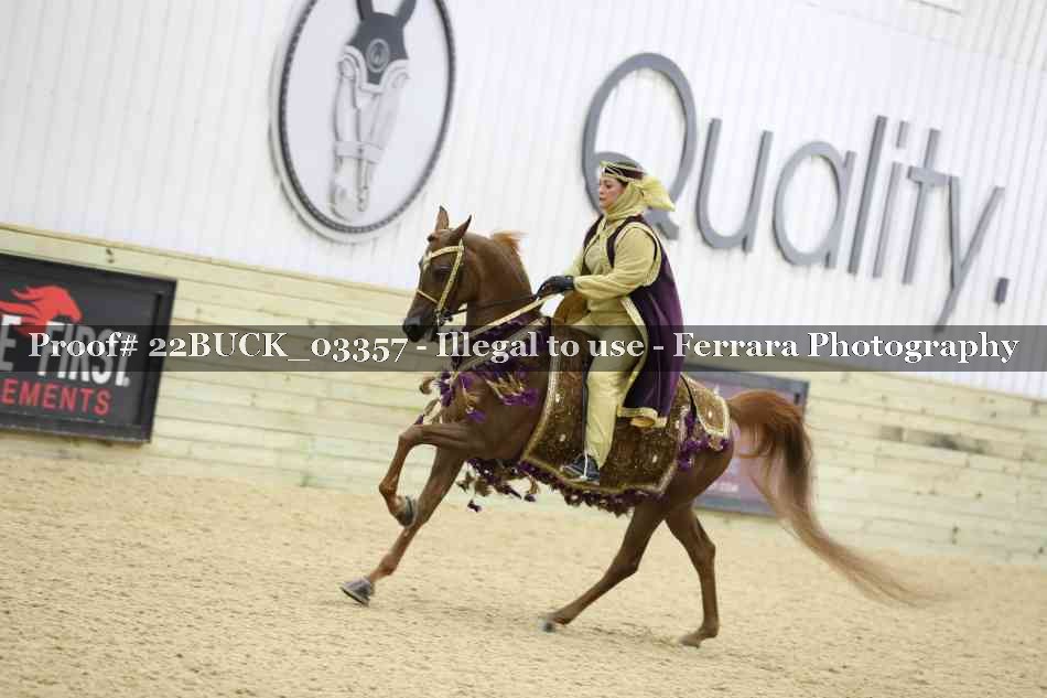 Proof 22BUCK_03357