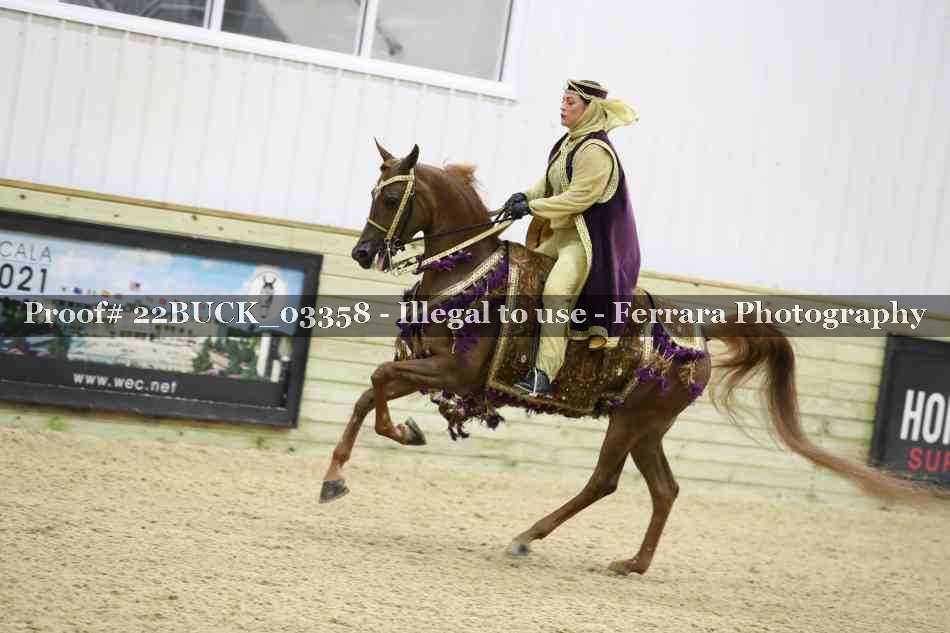 Proof 22BUCK_03358