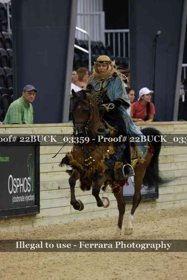 Proof 22BUCK_03359