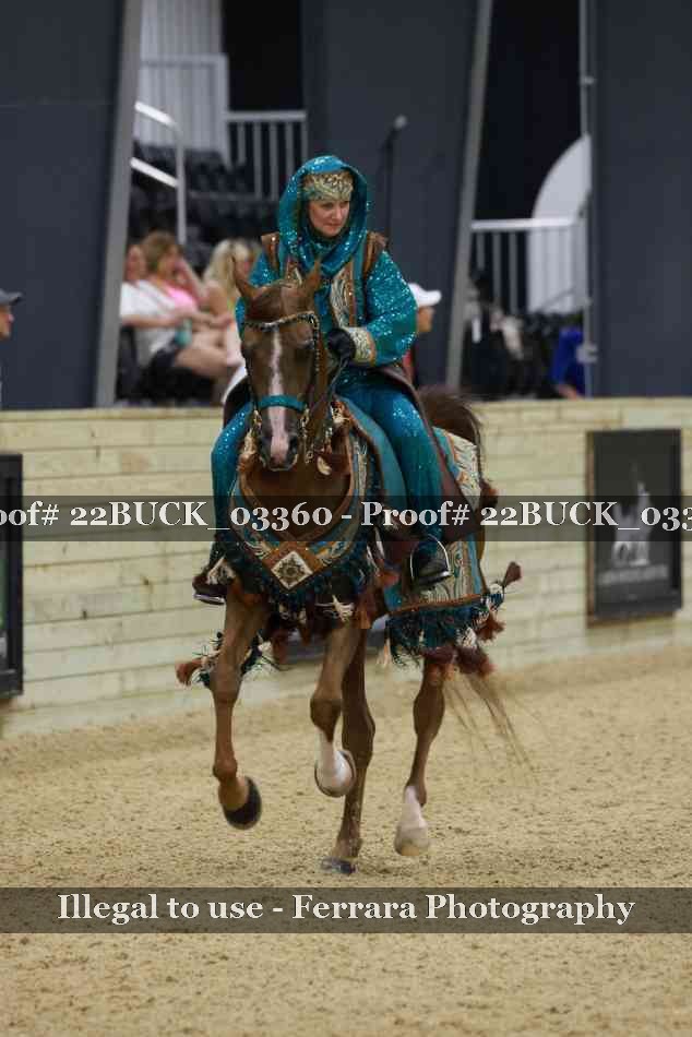 Proof 22BUCK_03360