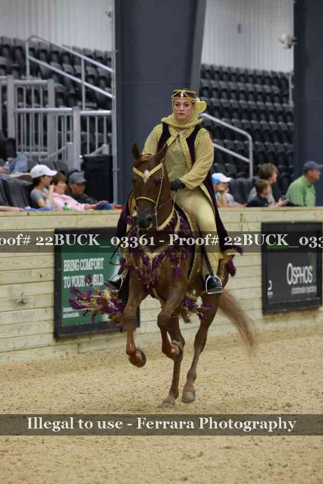 Proof 22BUCK_03361