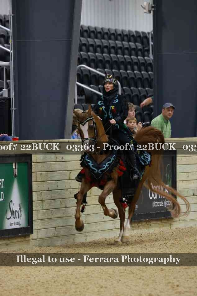 Proof 22BUCK_03363