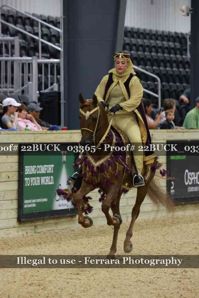 Proof 22BUCK_03365