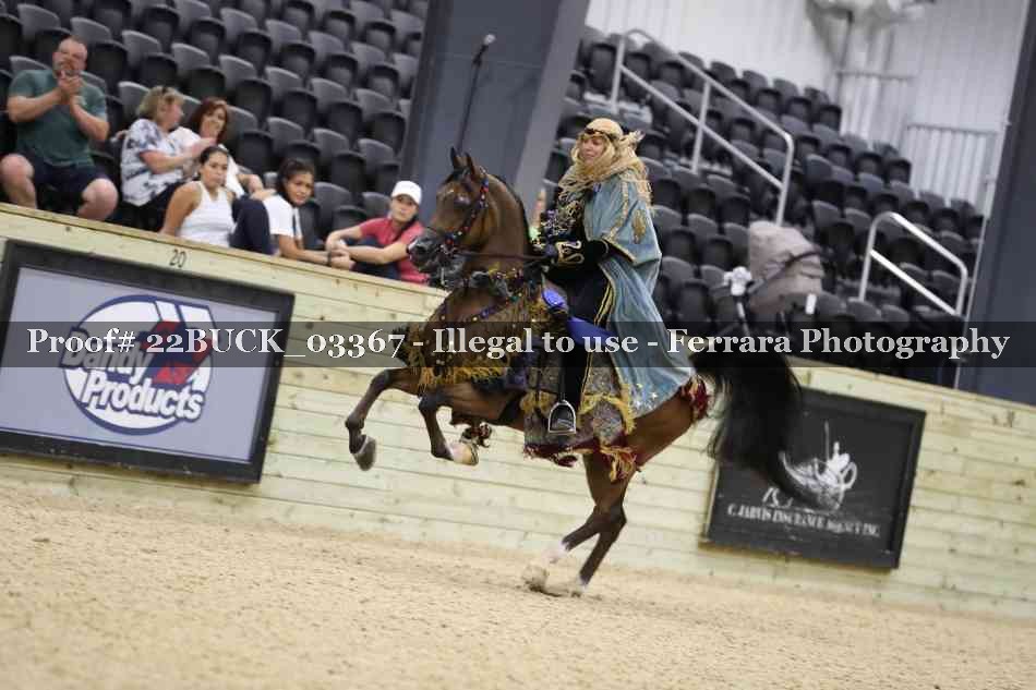 Proof 22BUCK_03367