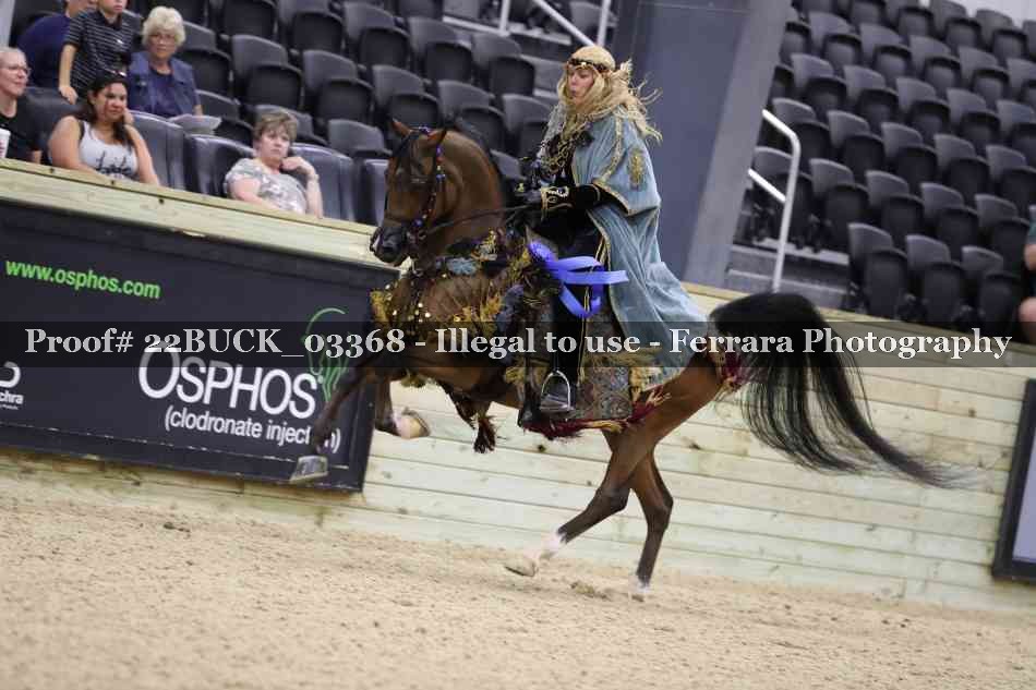 Proof 22BUCK_03368