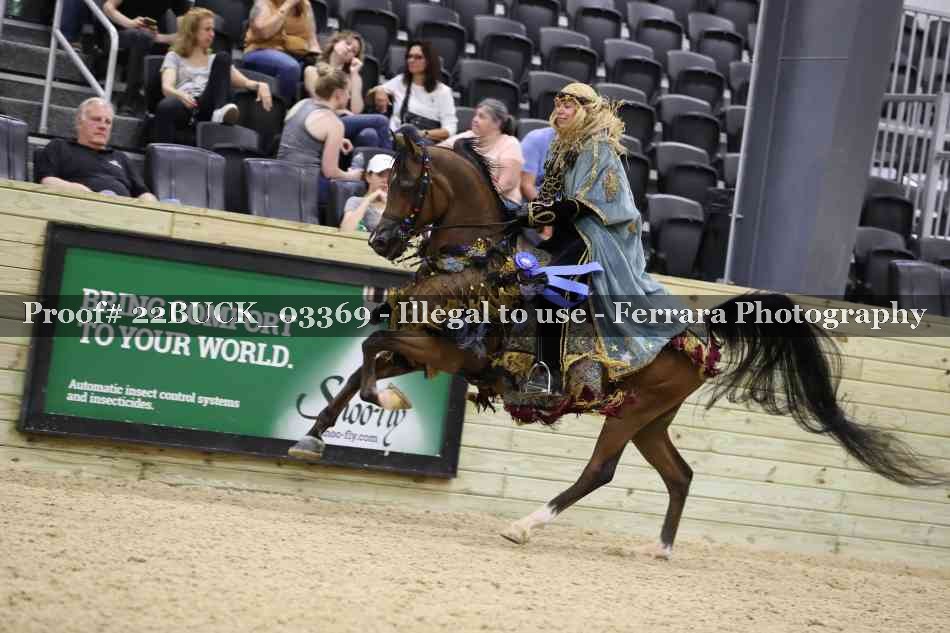 Proof 22BUCK_03369
