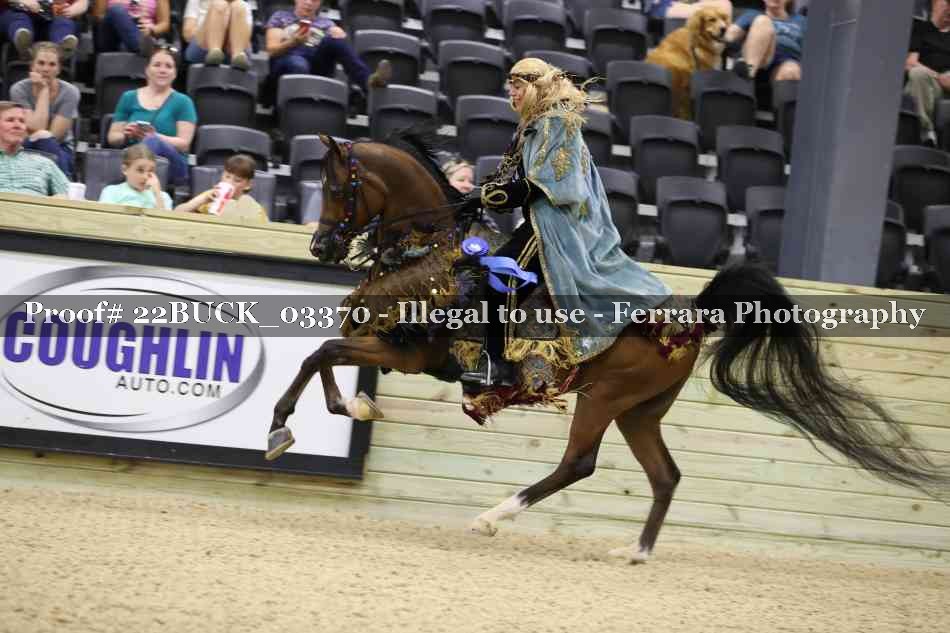 Proof 22BUCK_03370