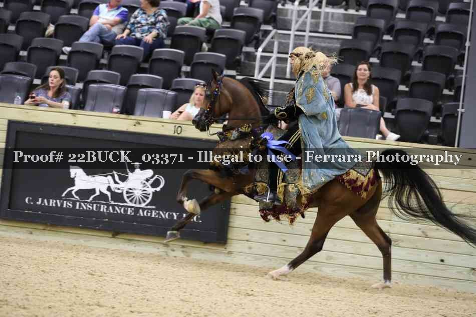 Proof 22BUCK_03371