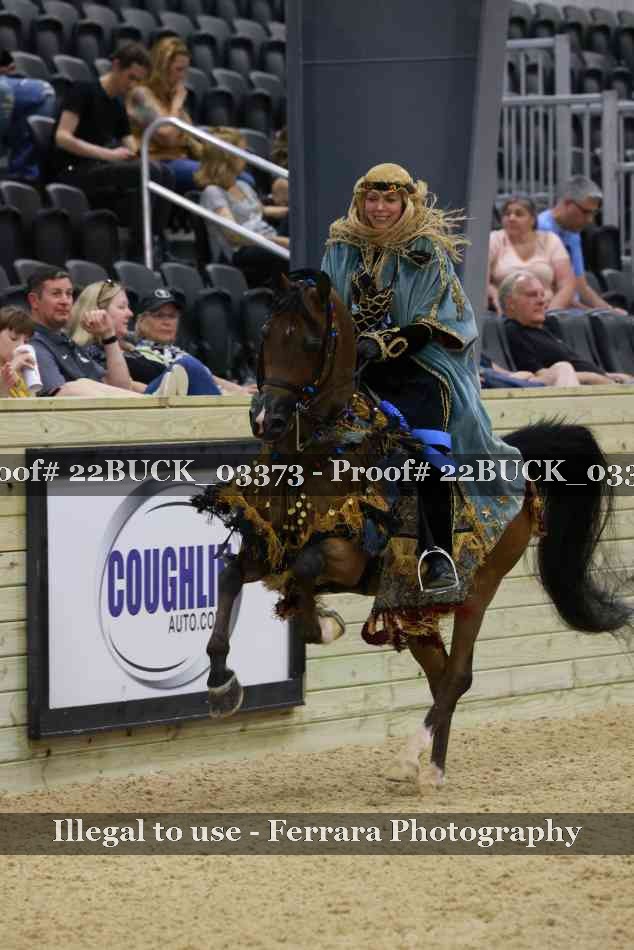 Proof 22BUCK_03373