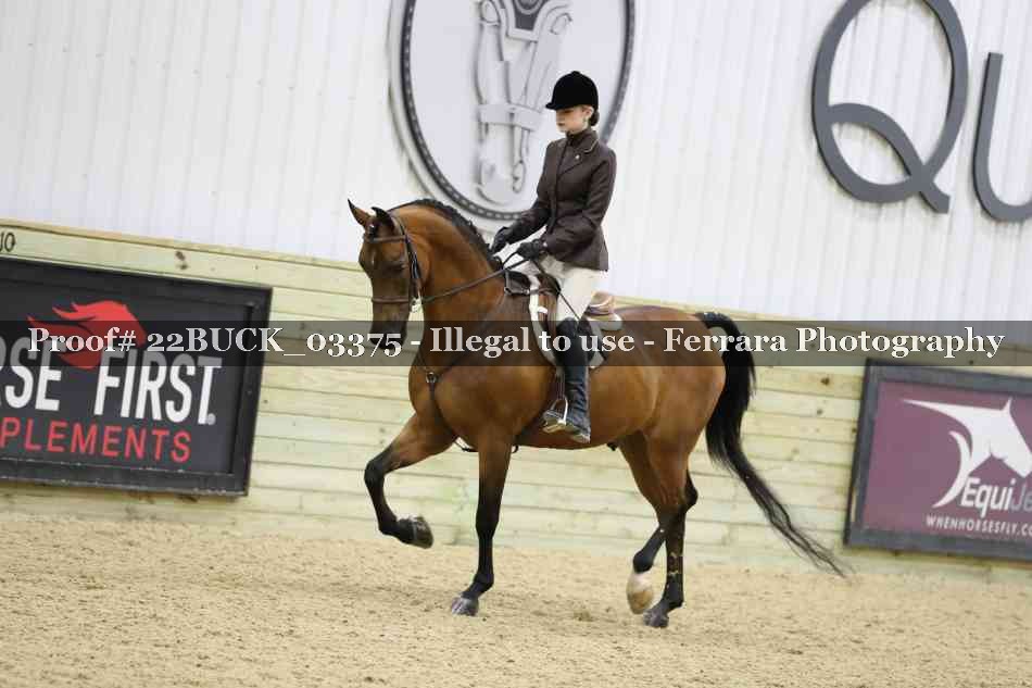 Proof 22BUCK_03375