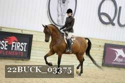 22BUCK_03375 proof