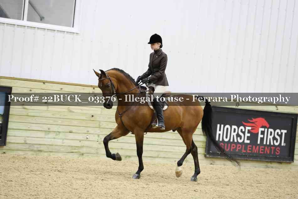 Proof 22BUCK_03376