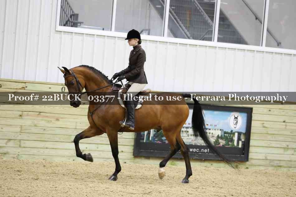 Proof 22BUCK_03377