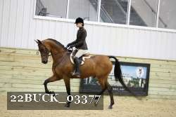 22BUCK_03377 proof