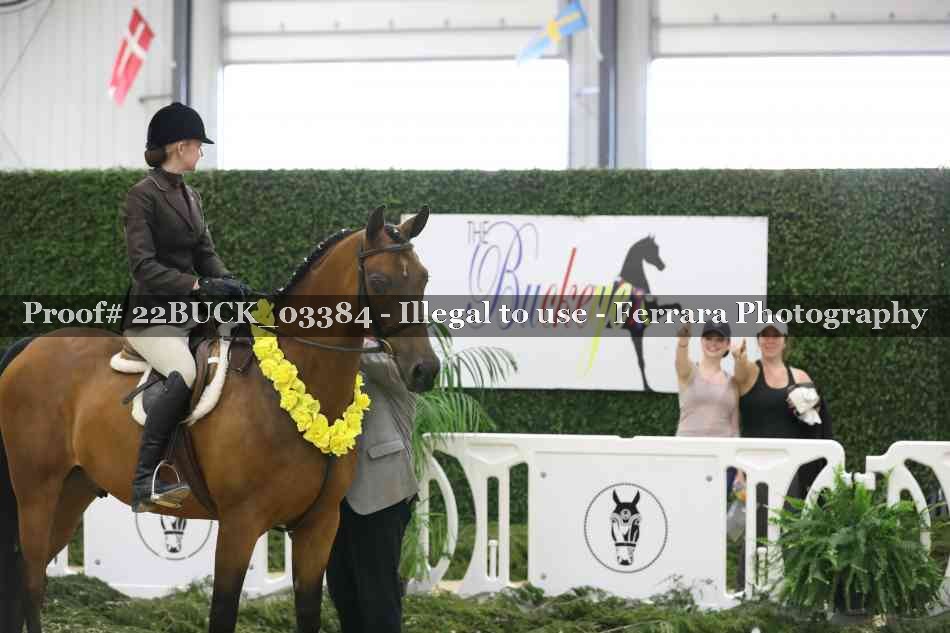 Proof 22BUCK_03384