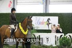 22BUCK_03384 proof
