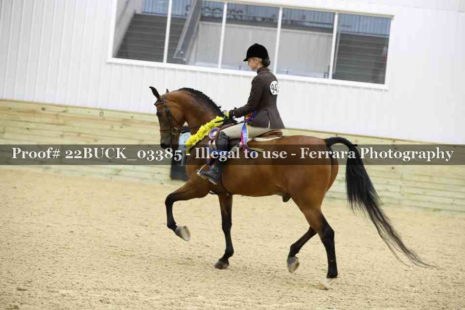 Proof 22BUCK_03385
