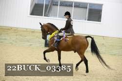 22BUCK_03385 proof