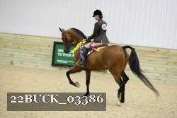 22BUCK_03386 proof
